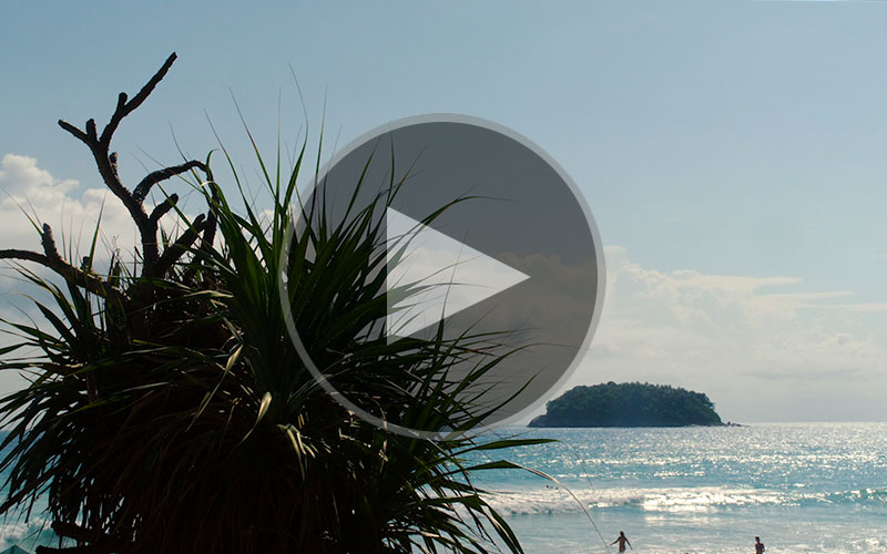 Thailand - In Motion - Travel Video